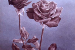 Twee rozen. 40 x 30, olieverf op doek. Verkocht.